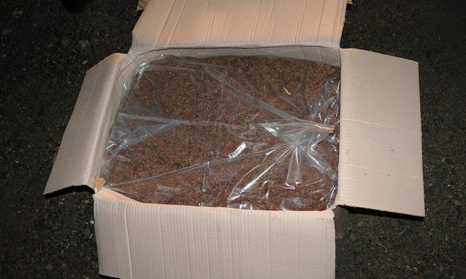 2011-8-19-838Lostris 8.JPG